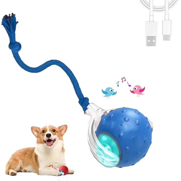 Tiny Fetch Dog Toy