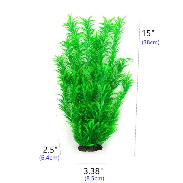 22-60cm High Large Aquarium Plants